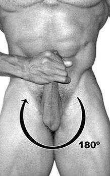 Bell Exercise for a member