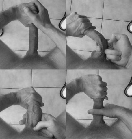 Flexion of a penis