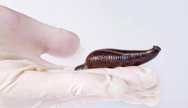 leech cream to increase a limb