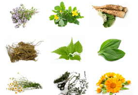 folk remedies to enlarge the penis