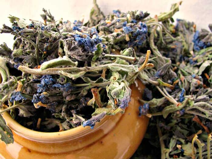 Dry lung herb for preparing a medicinal infusion that enlarges a man's penis