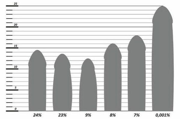 Penis Size Statistics